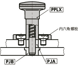 PPLX带法兰分度柱塞 - 高精度型