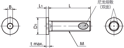 SSHL-ALK内六角极短头螺栓(SUS316L / 带尼龙熔敷)寸法図