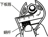 SKMWCP-200CFRTP活动扳手