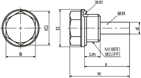 QPMSH-A4螺塞 - 带磁铁寸法図