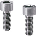 内六角螺栓(钽)