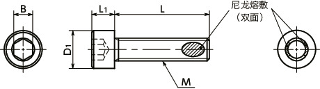 SNSLG-ALK高强度不锈钢内六角圆柱头螺栓(带尼龙熔敷)寸法図