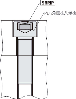 SRRIP内六角孔护罩