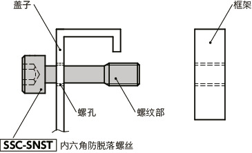 SSC-SNST钛合金内六角防脱落螺钉