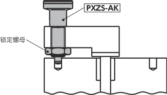 PXZS分度柱塞 - 全螺纹型