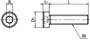 SPE-LC树脂螺丝（PEEK/内六角短头螺栓）寸法図