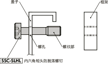 SSC-SLHL内六角短头防脱落螺钉（SUS316L）