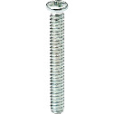 SNZ-M1.2-TZB 精密仪器用十字槽盘头小螺钉（0号1类）