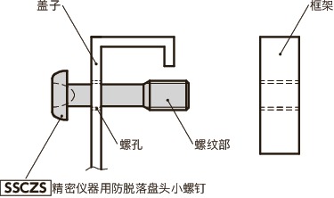 SSCZS精密仪器用防脱落盘头小螺钉（精密螺丝）
