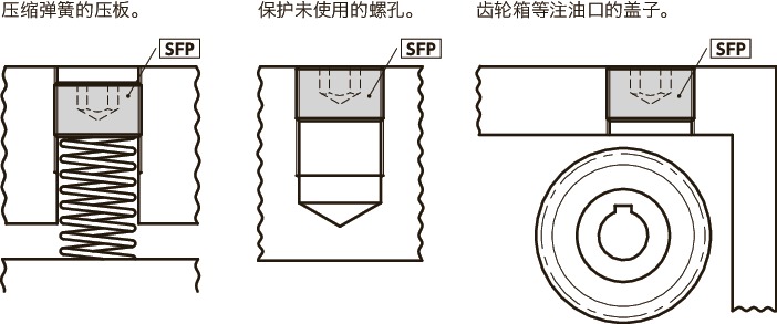 SFP内六角平行螺塞