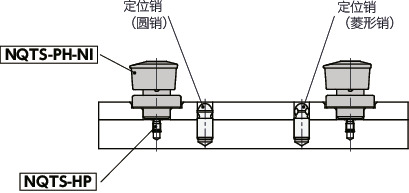 NQTS-PH-NI快速夹紧紧固件 - 旋钮操作 - 销固定