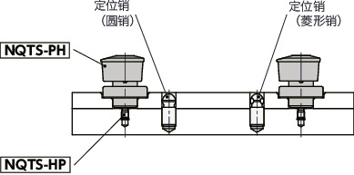 NQTS-PH快速夹紧紧固件 - 旋钮操作 - 销固定