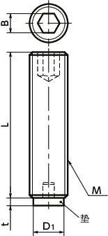 SGPS-BR无头螺丝（不锈钢制） - 黄铜垫寸法図