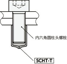 SCHT-T螺栓前端用盖帽