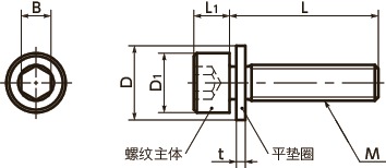 SNSQS-PM带垫圈内六角圆柱头螺栓（检测磁性用）寸法図