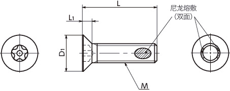 SRGFS-ALK五角槽埋头螺栓（带芯型 / 带尼龙熔敷）寸法図