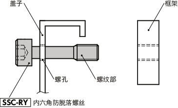SSC-RY内六角防脱落螺丝（低温镀黑铬处理）